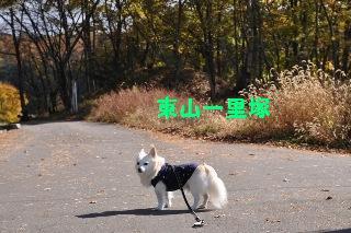 151103-k6.jpeg