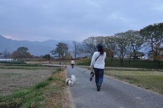 151107-k13.jpeg