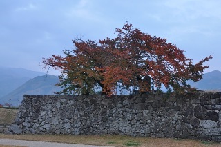 151107-k14.jpeg