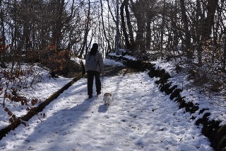 151129-k14.jpeg