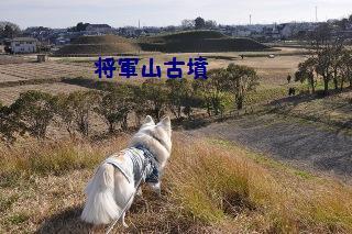 160102-k10.jpeg