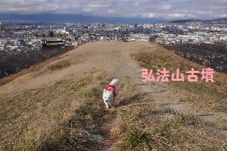 160111-k1.jpeg