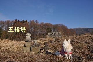 160111-k14.jpeg