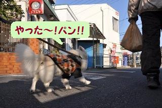 160117-k3.jpeg
