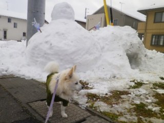 160119-3.jpg