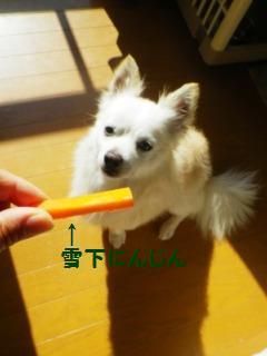 160128-1.jpg