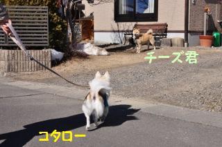 160207-k1.jpeg