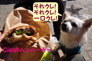 160207-k5.jpeg