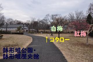 160213-k1.jpeg