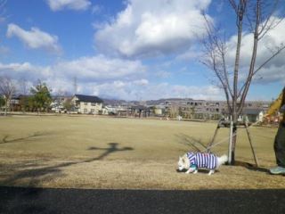160221-1.jpg