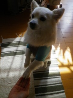 160221-4.jpg