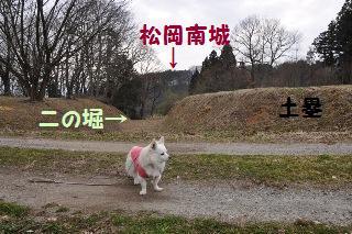 160305-k8.jpeg
