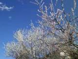 160322-2.jpg