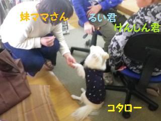 160324-9.jpg