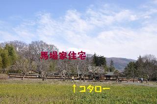 160327-k5.jpeg