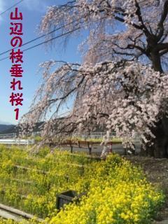 160406-i4.jpg