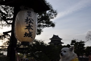 160409-k15.jpeg