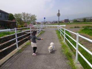 160425-5.jpg