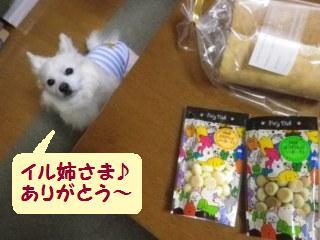 160506-2.jpg