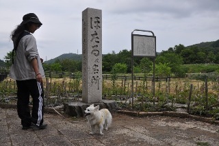 160612-k5.jpeg