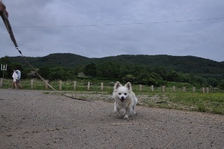 160612-k6.jpeg