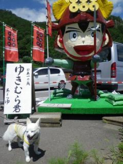 160716-1.jpg