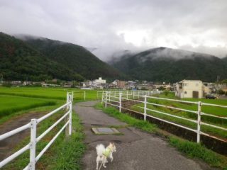 160803-1.jpg