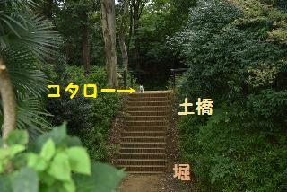 160815-k4.jpeg