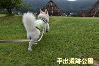 160828-k2.jpeg