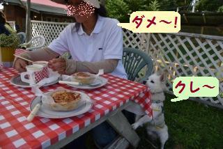160904-k11.jpeg