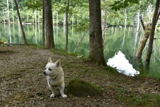 160904-k4.jpeg