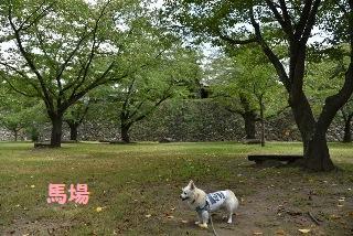 160911-k11.jpeg
