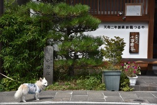 160911-k23.jpeg