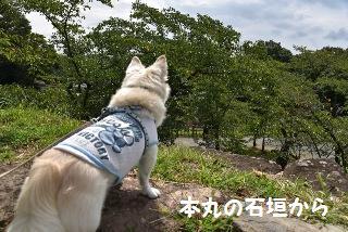 160911-k5.jpeg