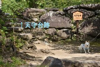 160911-k7.jpeg