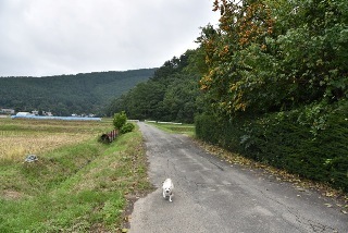 161002-k7.jpeg