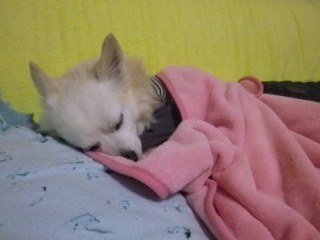 161024-4.jpg
