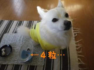 161108-1.jpg