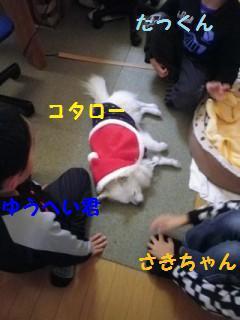 161210-10.jpg