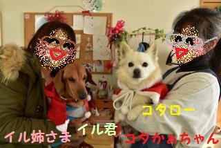 161211-k4.jpeg