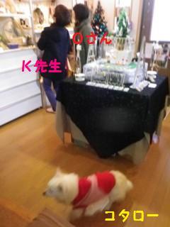 161215-1.jpg