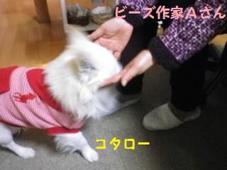 161215-2.jpg