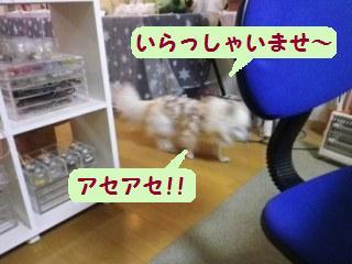 161218-2.jpg