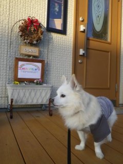 161224-7.jpg