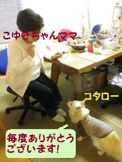 161224-8.jpg