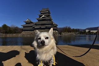 170219-k4.jpg