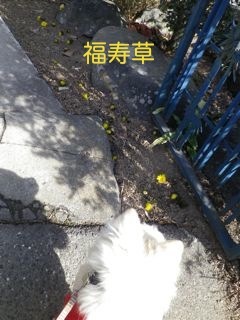 170222-2.jpg