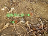 170222-3.jpg