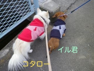 170222-4.jpg