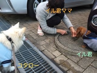 170225-i1.jpg